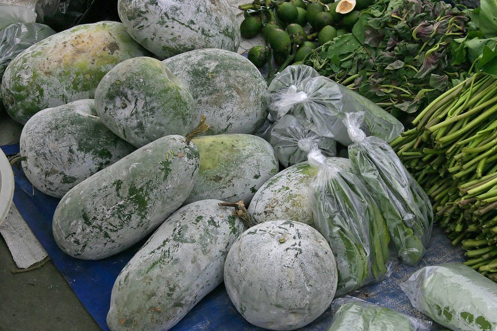 Wax Gourd All You Need to Know