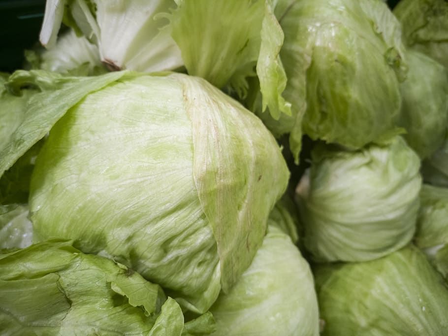 Are Cabbage Leaves Edible