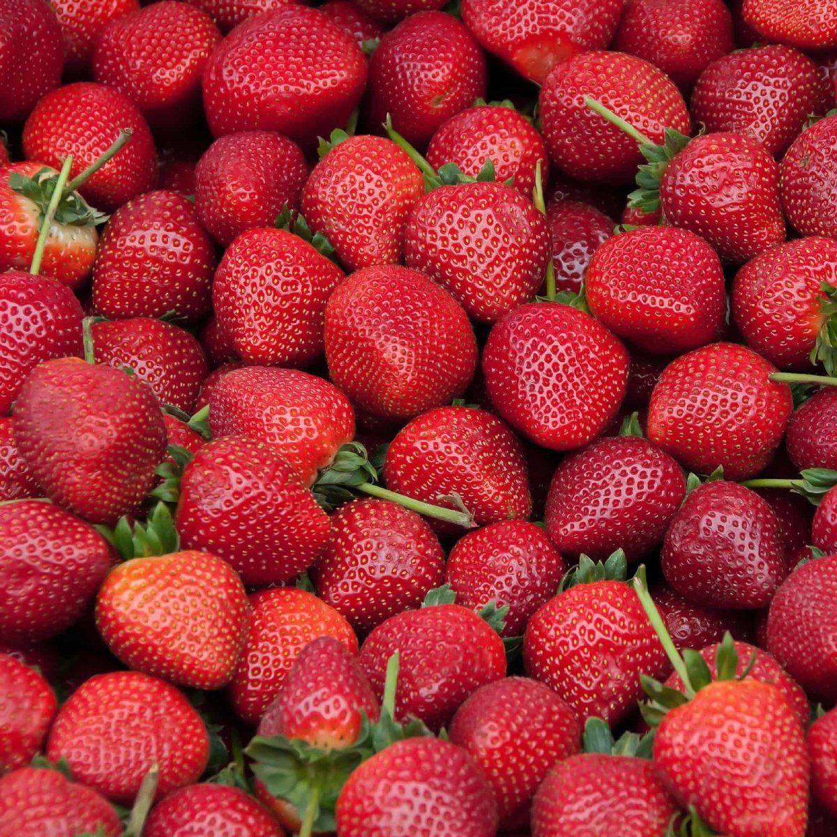 Strawberries Good For Diabetics